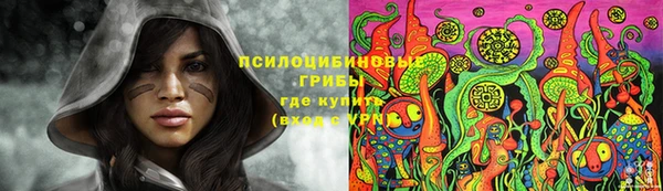 дживик Аркадак