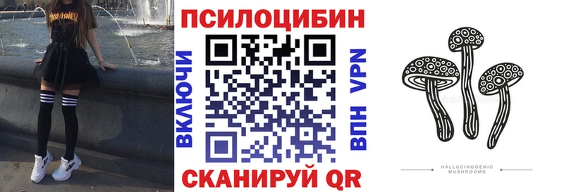 Купить где  Фокино  Галлюциногенные грибы мухоморы 